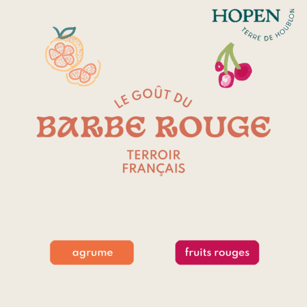 Houblon Bio Barbe Rouge - Origine France - 1 ou 5 kg